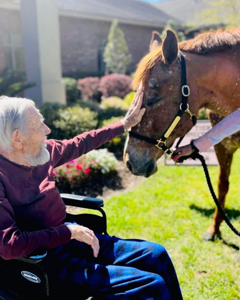 Man with horse