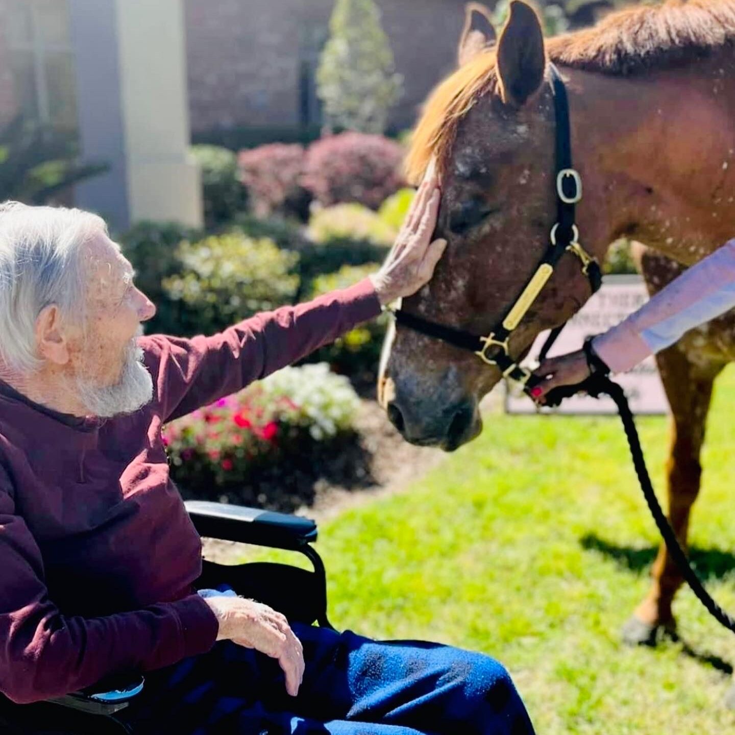 Man with horse