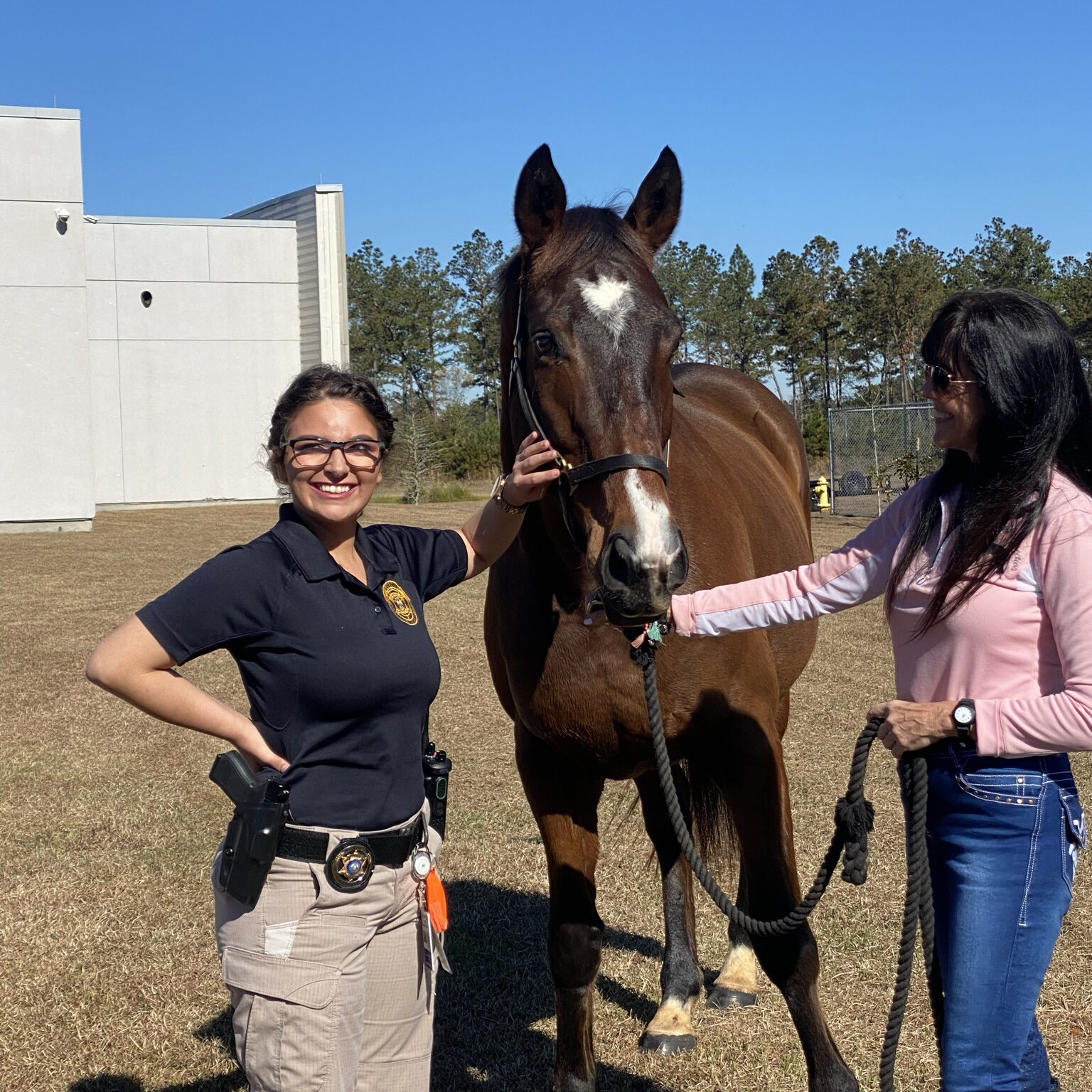 First Responder and Horse